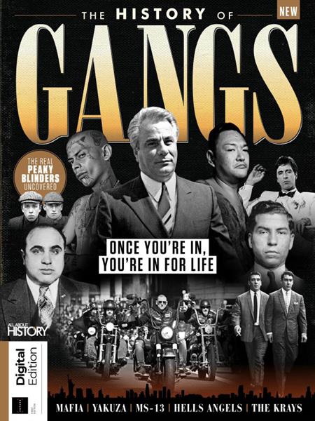 History of Gangs - 1st Edition 2024
