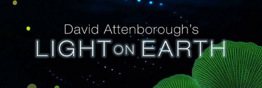 David Attenboroughs Light On Earth 2016 1080P WEB H264-GRASHOPR – ReleaseBB David Attenboroughs Light On Earth 2016 1080P WEB H264-GRASHOPR – ReleaseBB