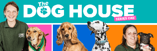 The Dog House S03E04 HDTV H264-RBB [P2P]