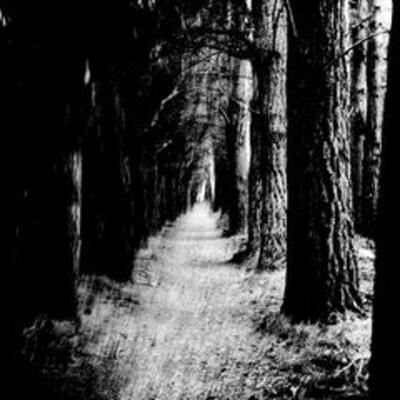 [Image: 2af93b78d9e205a93b8a22a98743fda4.jpg]