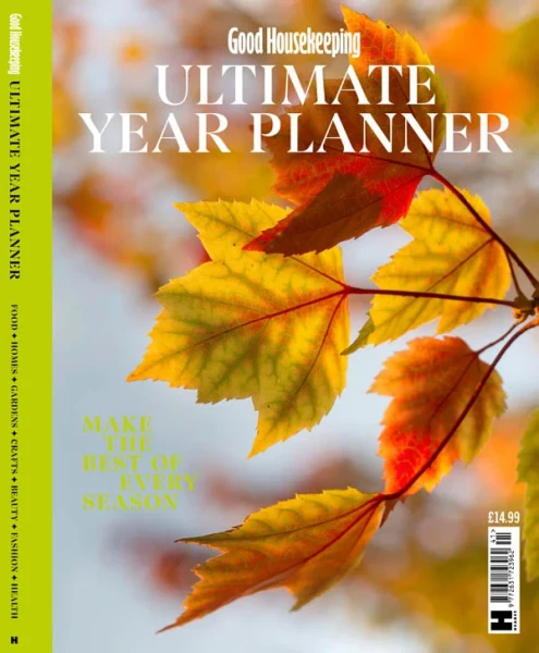Ultimate Year Planner 2026