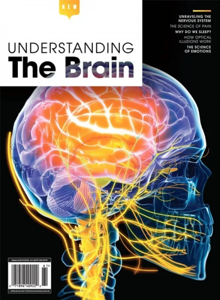 Understanding The Brain 2025