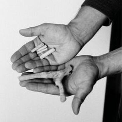 [Image: 6da236eeda00aac51fc78f147c35a4e9.jpg]