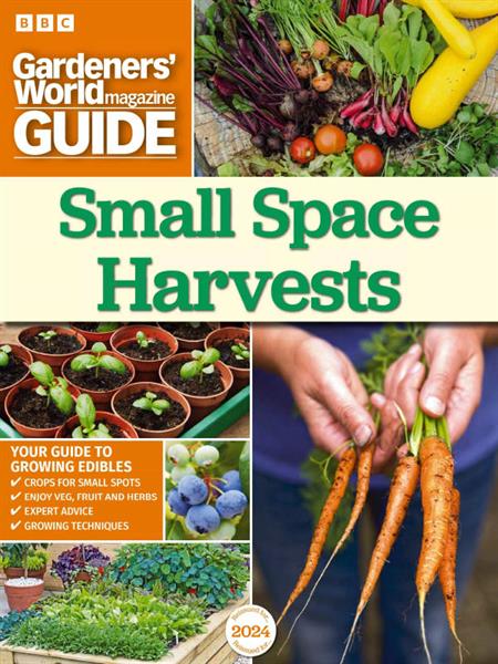 Small Space Harvests 2024