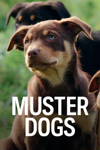 Muster Dogs S02 WEB H264-RBB