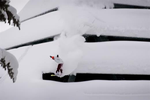 [Obrazek: 9b91ca0c29f9ca8a28724db9b8dc3c8c.jpg]