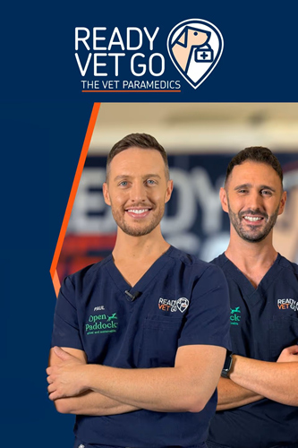 [Resim: e70a811e3d6a02ed5635936c484b7d01.png]