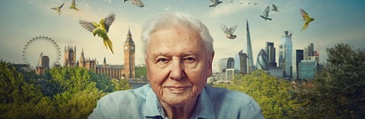 [Image: fe8ad8c7237f644b72cb744bc3d66529.jpg]